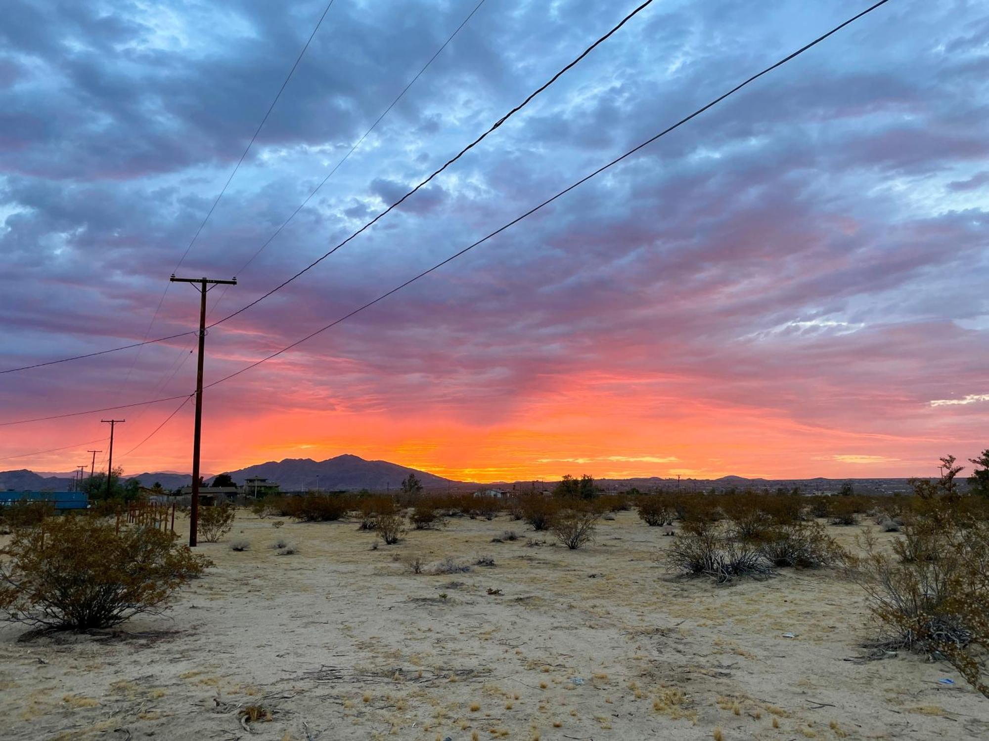 Twin Palms Desert Getaway - Jacuzzi, Fire Pit, Meditation Room & More ジョシュア・ツリー エクステリア 写真