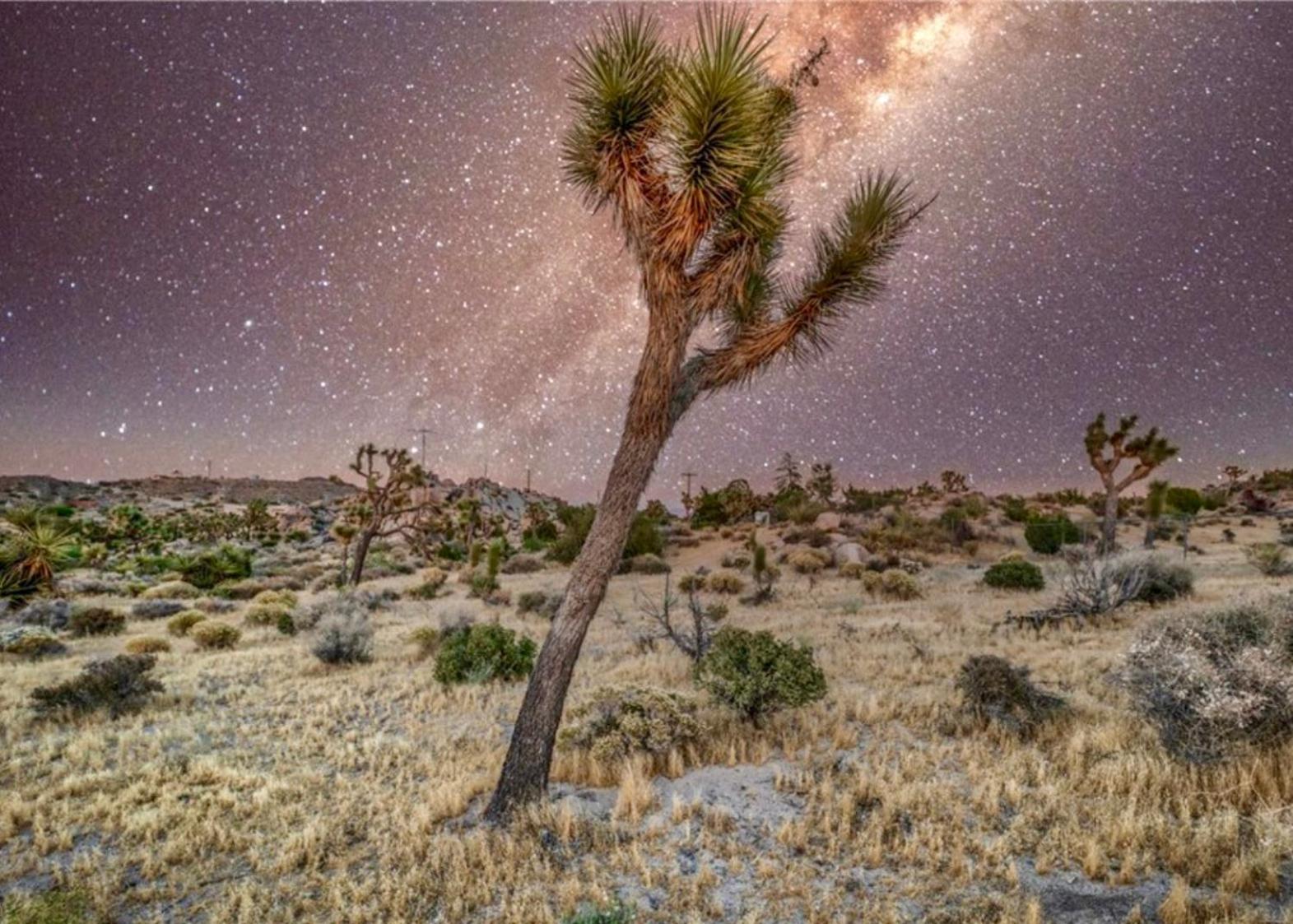 Twin Palms Desert Getaway - Jacuzzi, Fire Pit, Meditation Room & More ジョシュア・ツリー エクステリア 写真